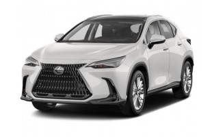 Lexus NX 2022 - actualidad